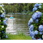 LAGO NEGRO GRAMADO-RS